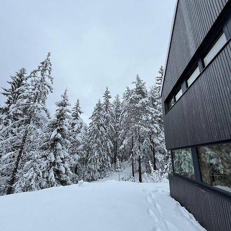 Chalet Dachstein Ramsau am Dachstein Exterior photo